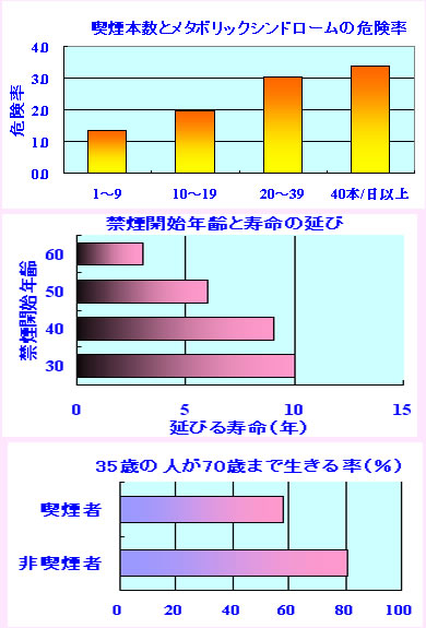 喫煙量と寿命